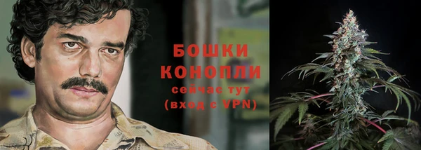 мяу мяу мука Надым