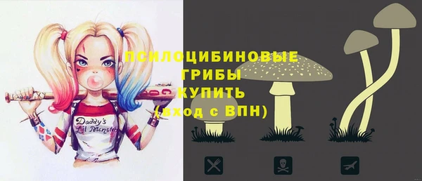 соль ск Армянск