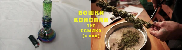 трава Арсеньев
