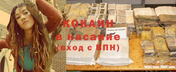 трава Арсеньев