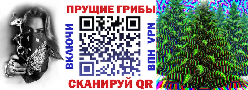 Псилоцибиновые грибы Psilocybine cubensis  Купить  Белоярский 